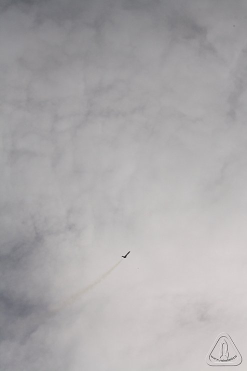 2013 Svojek Mirek Topinka